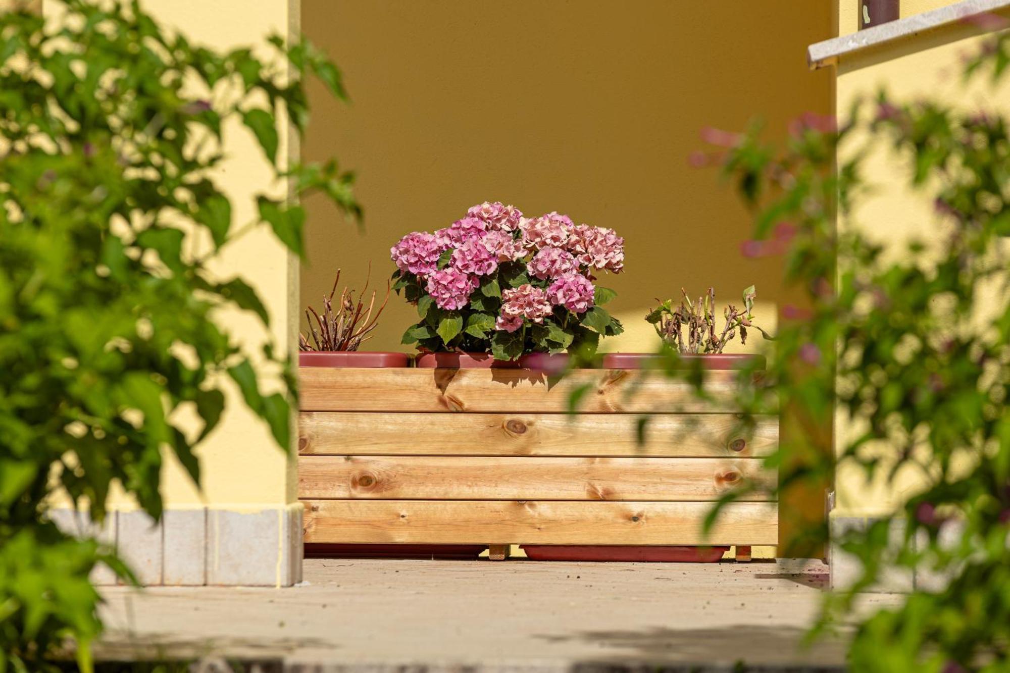 Il Frutteto Appartement Monticchio  Buitenkant foto